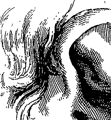 065/065380010000880_1.png
