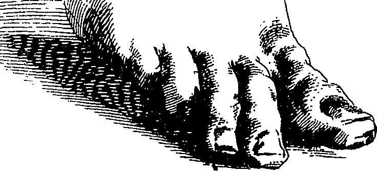 065/065380010000890_1.png