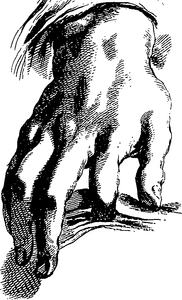 065/065380010000900_0.png