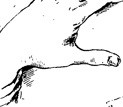 065/065380010000910_1.png