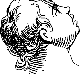 065/065380010000930_2.png