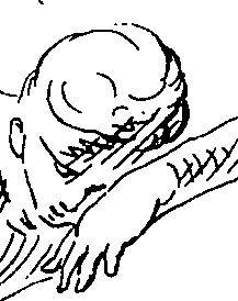 065/065380010001020_1.png