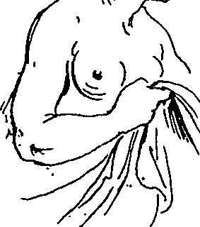 065/065380010001030_1.png