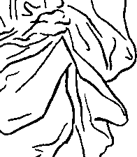 065/065380100000470_1.png
