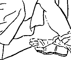 065/065380100000470_2.png