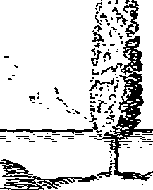 065/065380100001830_0.png