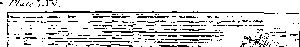 065/065380100003110_0.png