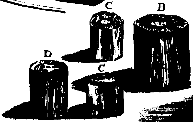065/065390010000100_0.png