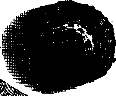 065/065390010000100_1.png