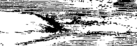 065/065390010000300_0.png