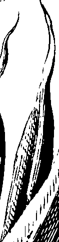 065/065390010000330_0.png
