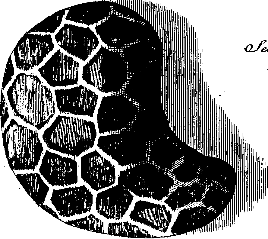 065/065390010000440_1.png