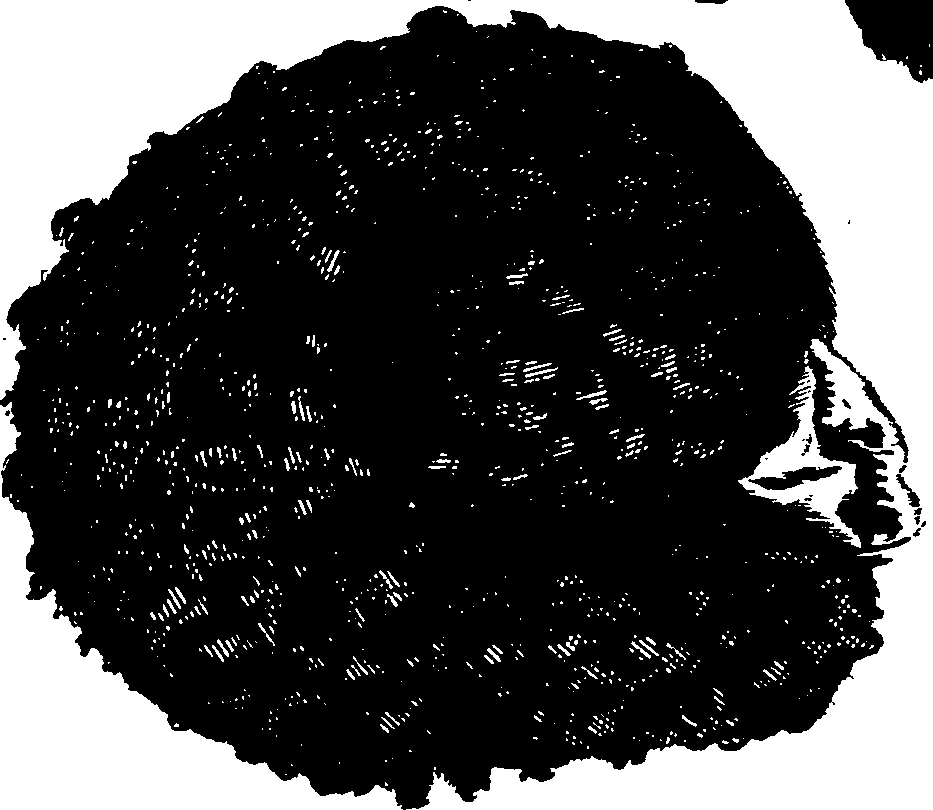 065/065390010000450_0.png