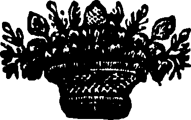 065/065390010000470_0.png