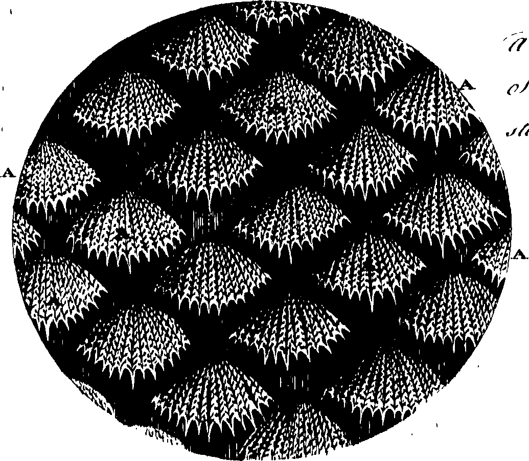 065/065390010000480_0.png