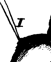065/065390010000730_0.png
