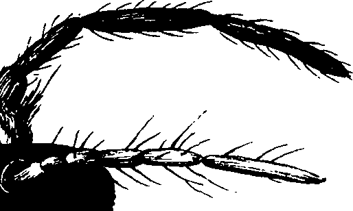 065/065390010000790_0.png