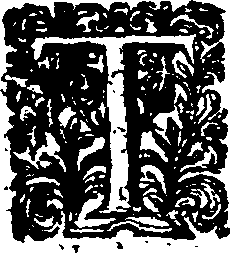 065/065520090000080_0.png
