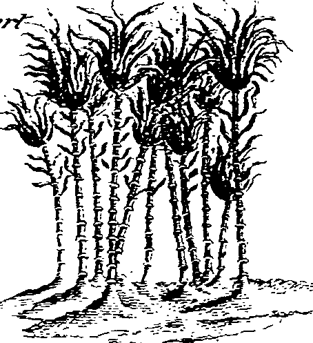 065/065540030102330_2.png