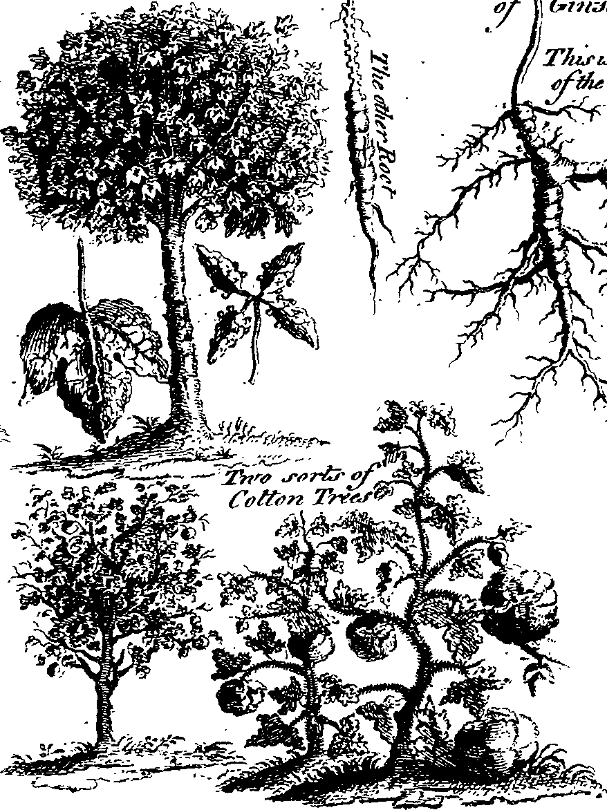 065/065540030102330_3.png