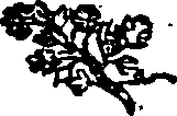 065/065540030201410_0.png