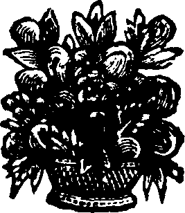065/065670110000530_0.png