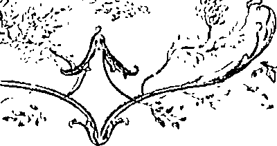 065/065700100000220_0.png