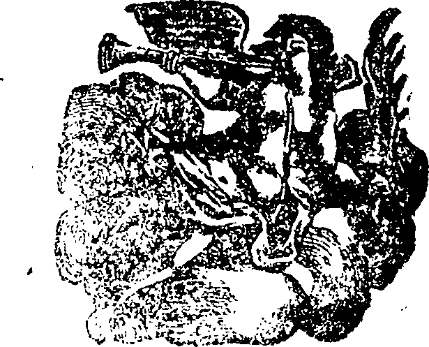 065/065710160000010_0.png