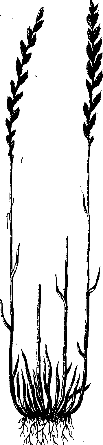 065/065750020202660_0.png