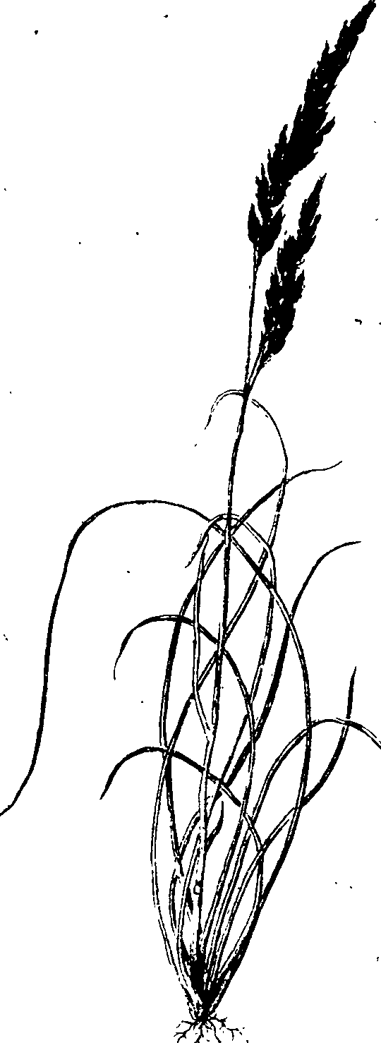 065/065750020202690_0.png
