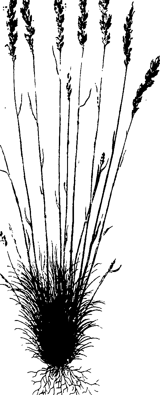 065/065750020202760_0.png