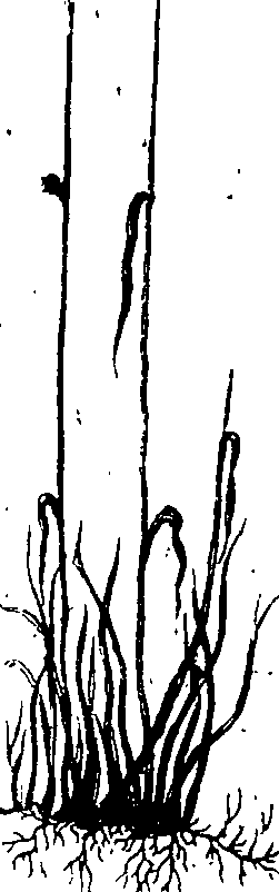 065/065750020202870_0.png