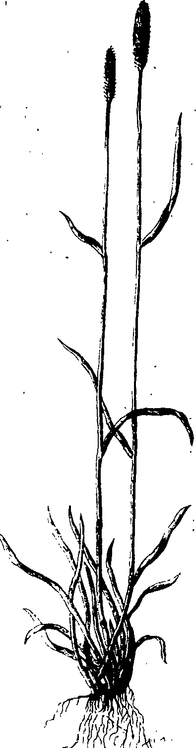 065/065750020202920_0.png