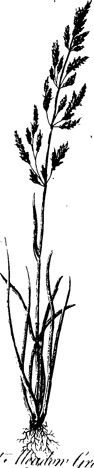 065/065750020202950_0.png