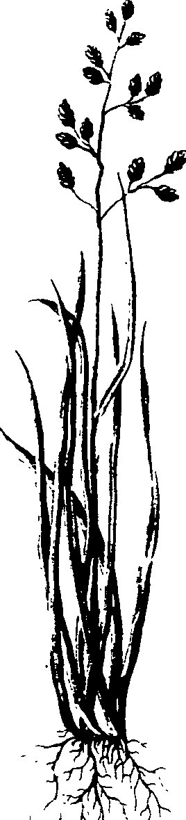 065/065750020202960_0.png