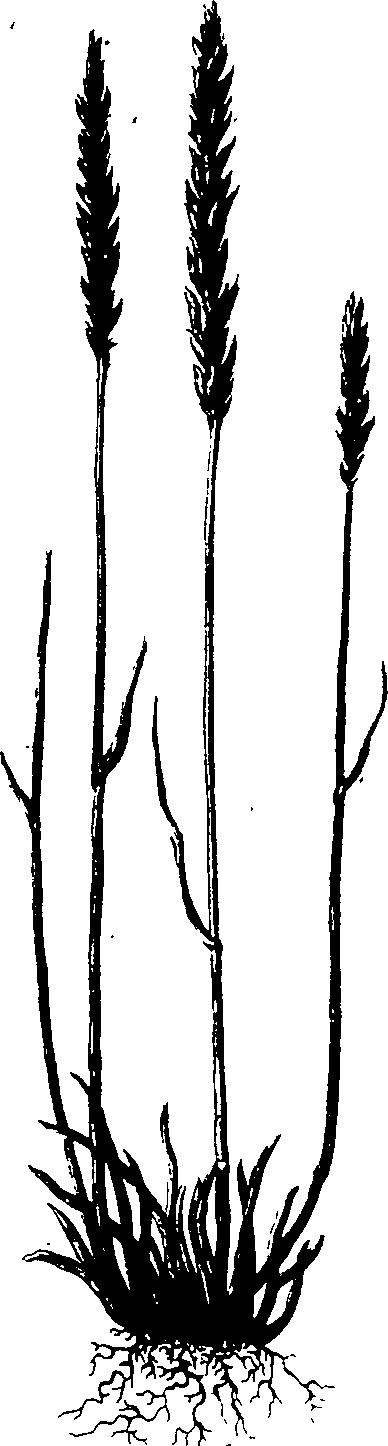 065/065750020203010_0.png