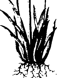 065/065750020203020_0.png