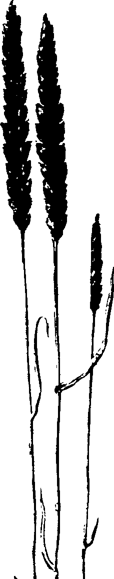 065/065750020203020_1.png
