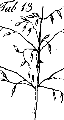 065/065750020203230_1.png