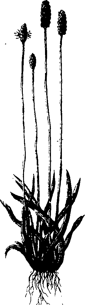 065/065750020203290_0.png