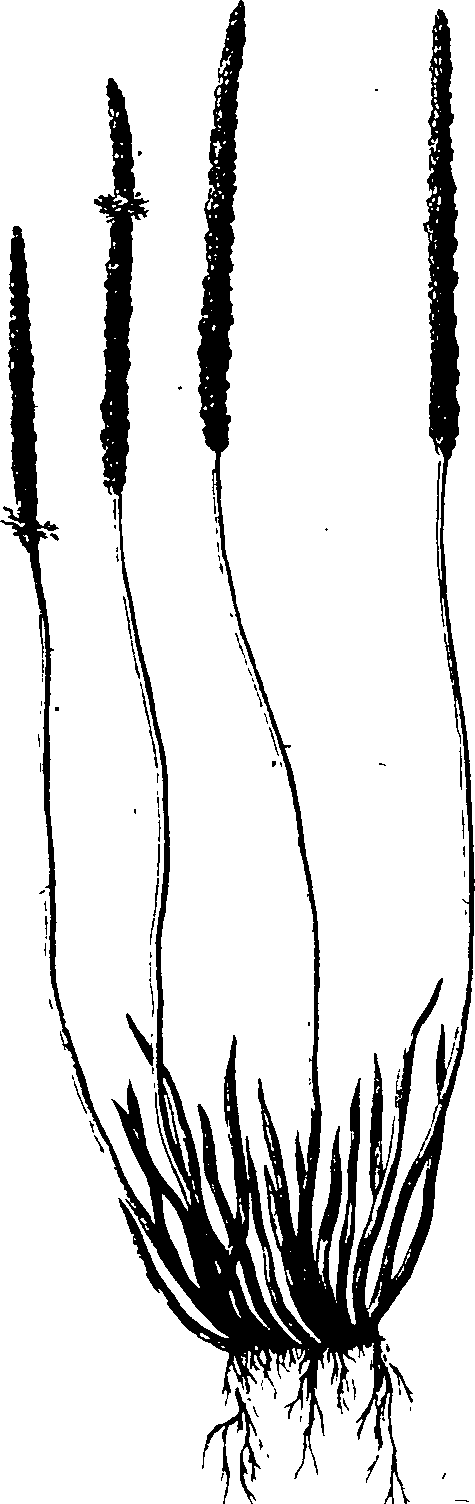 065/065750020203300_0.png