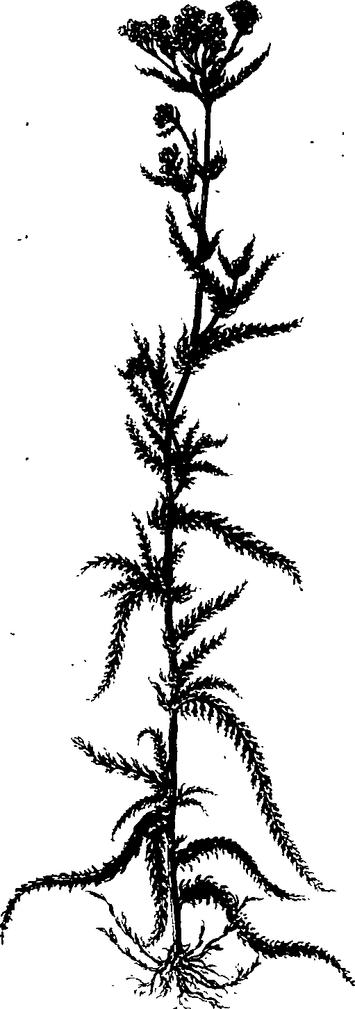 065/065750020203330_0.png
