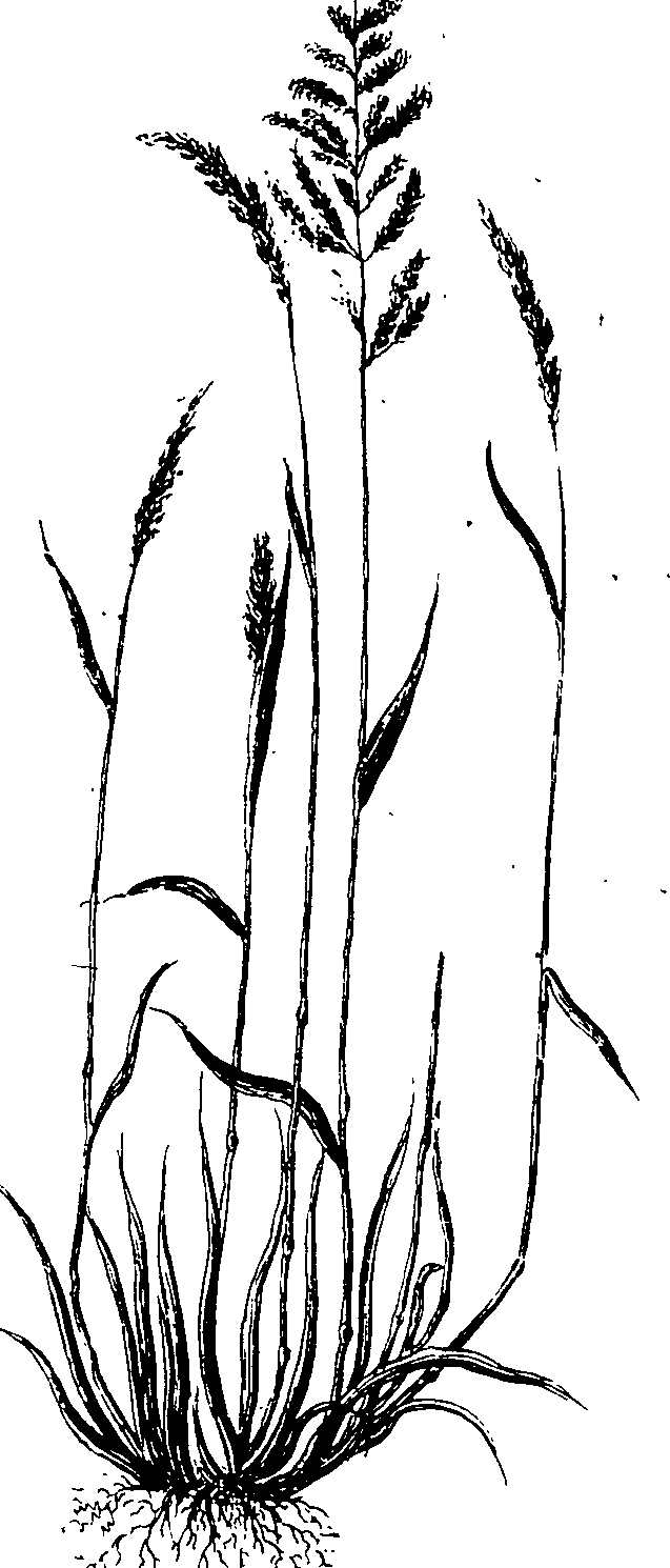 065/065750020203800_0.png