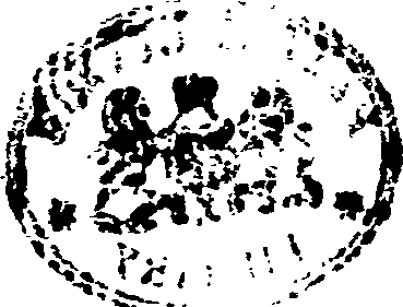 065/065770180202470_0.png