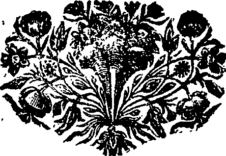065/065790050000700_0.png