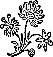 065/065850190000020_0.png