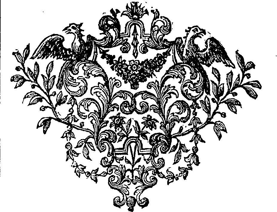 065/065890120002360_0.png