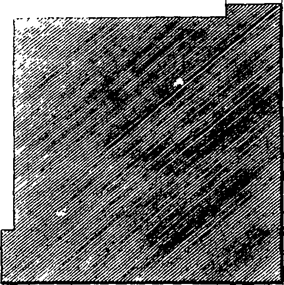 065/065900020100950_0.png