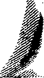 065/065900020103550_1.png