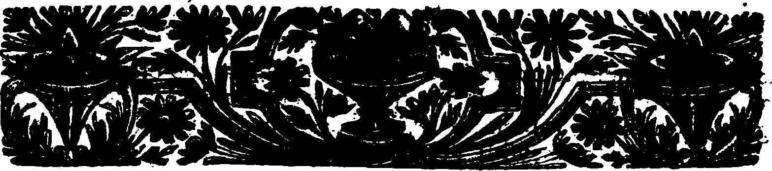 065/065920020000390_2.png